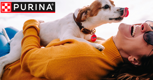Free SuperPet Smart ID Tag from Purina
