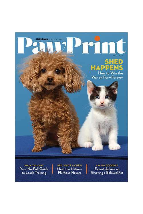 Free Paw Print Magazine with Free Shipping